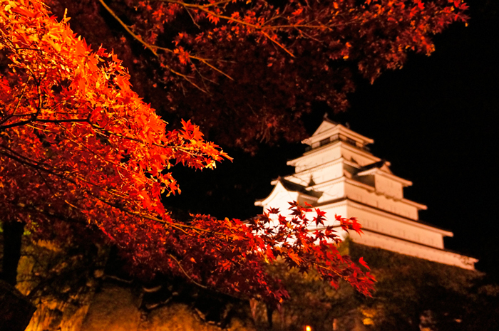 Tsuruga-jo Castle framed by autumn foliage.