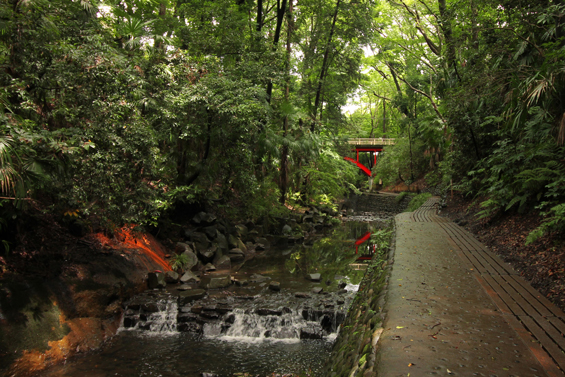 The walking path along the bottom of Todoroki Valley splits off into several areas that include gardens and Todoroki Fudoson Temple.
