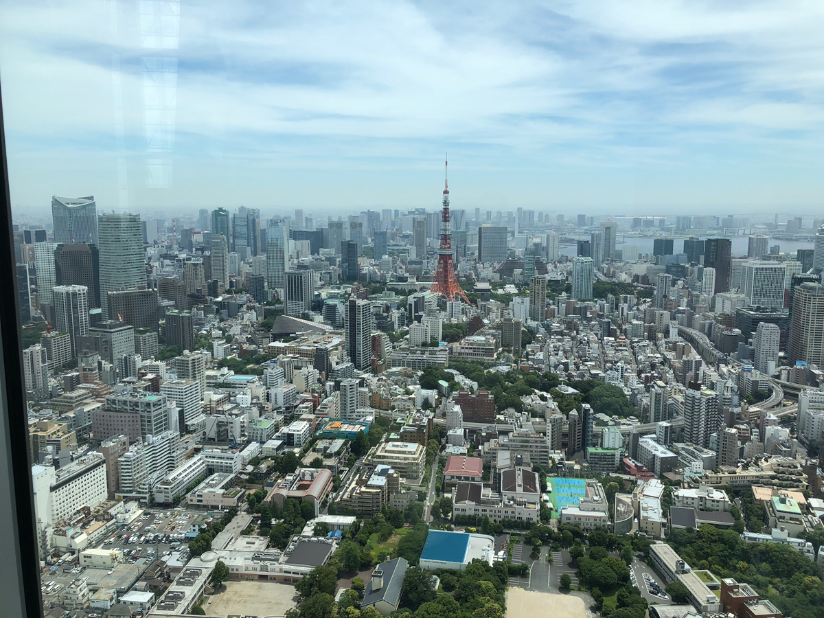 A view of the Tokyo metropolis from Roppongi Hills Mori Tower