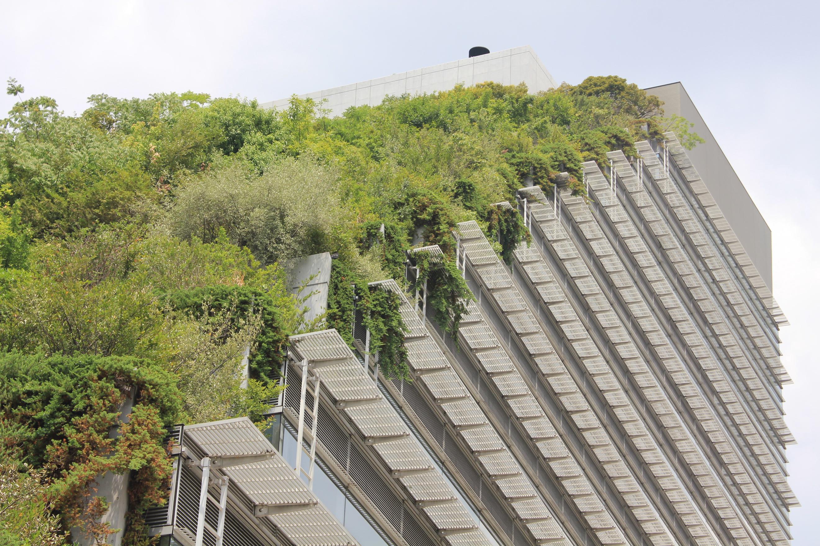 The rooftop garden on Acros Fukuoka is like an urban jungle