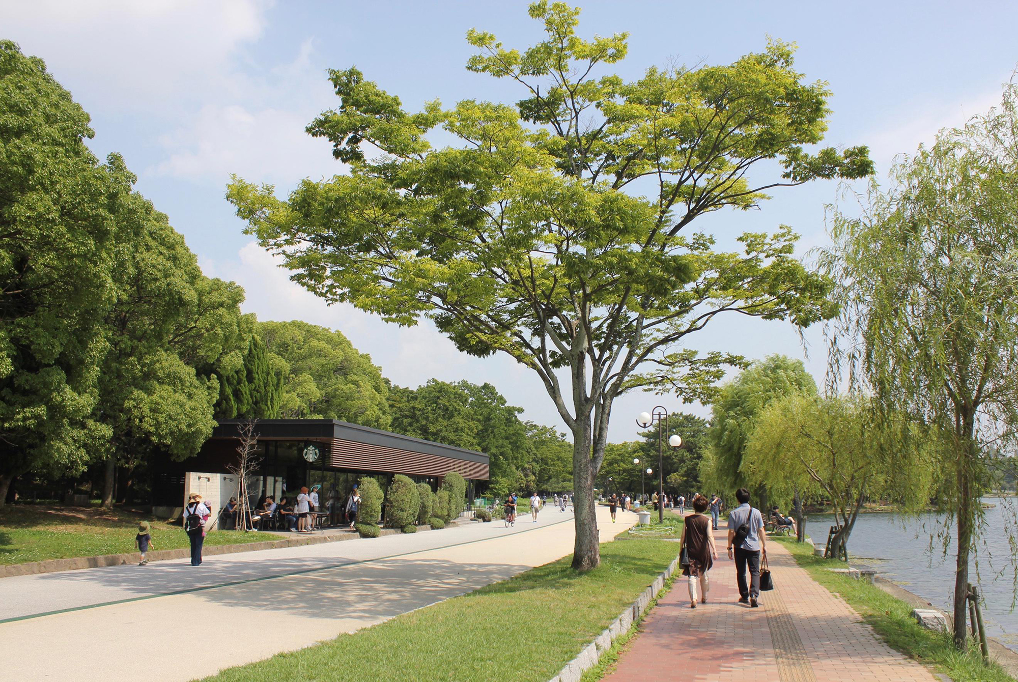 People stroll along the pond of Ohori Park